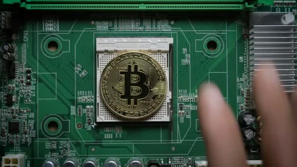 La mano mans mette i bitcoin in una colonna sulla scheda madre. Valuta di crittografia Bitcoin - BTC  - — Video Stock