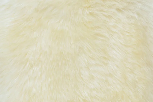 Teksturowane Prawdziwej Białej Wełny Kremowej Owiec — Zdjęcie stockowe