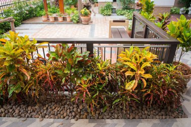 Tasarım ve dekoratif bahçe evin etrafında