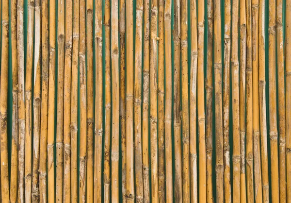 Texture Décoratif Vieux Bois Bambou Clôture Mur Fond — Photo