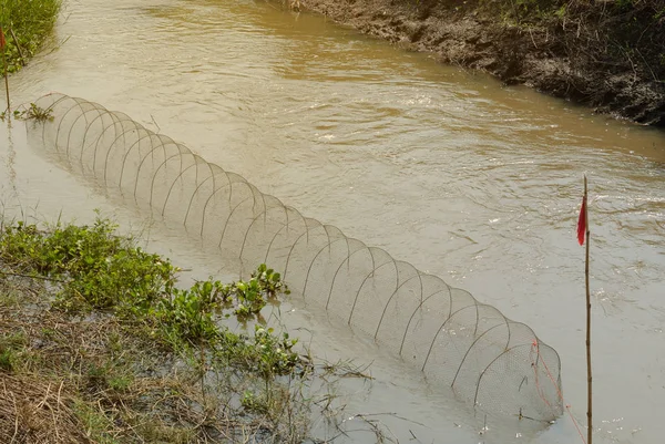 Caught Fish Cage River Sport Fishing Feeder Fishing Kind Fishing — Stock Photo, Image