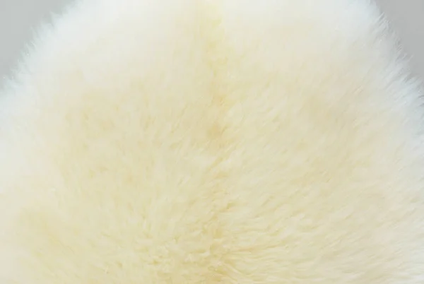 Textured Real White Cream Wool Sheep — Stock Photo, Image