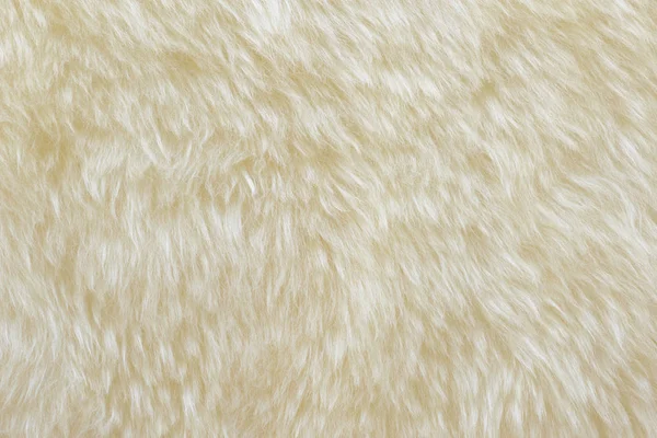 Teksturowane Prawdziwej Białej Wełny Kremowej Owiec — Zdjęcie stockowe