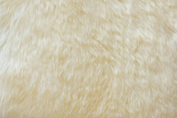 Texturizado Real Blanco Crema Lana Oveja —  Fotos de Stock