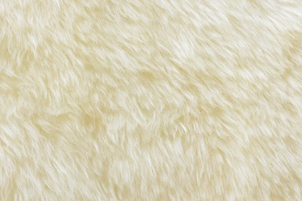 本物の白いクリームウールの羊の質感 — ストック写真