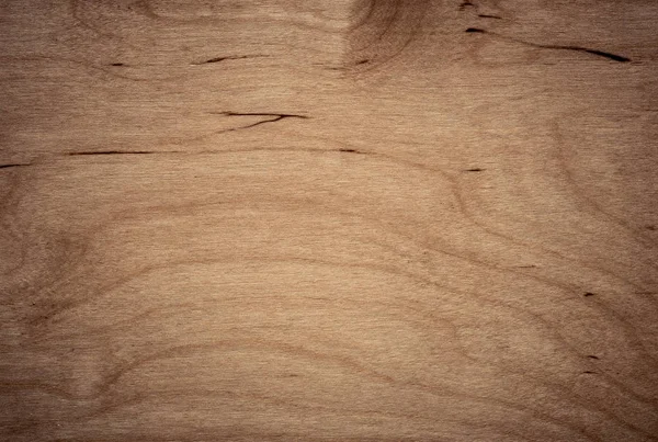 Fundo da superfície de madeira de bétula — Fotografia de Stock