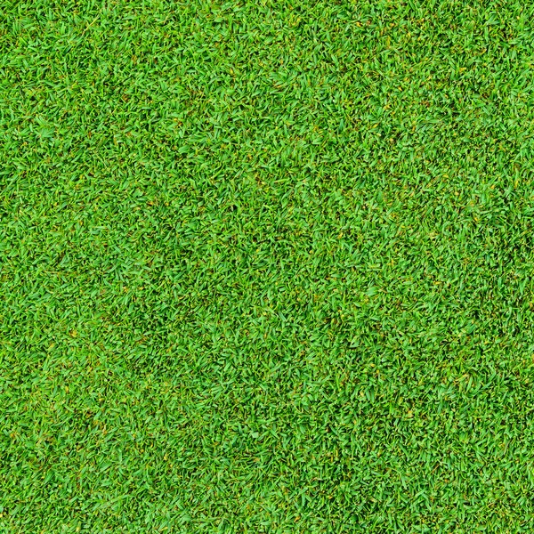 Fundo Textura Belo Padrão Grama Verde Campo Golfe — Fotografia de Stock