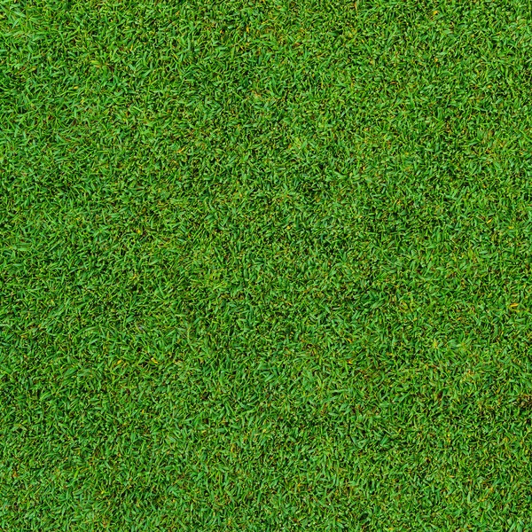 Golf Sahasından Güzel Yeşil Çimen Desenlerinin Arka Planı Dokusu — Stok fotoğraf