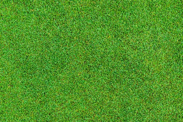 ゴルフ場からの美しい緑の草模様の背景と質感 — ストック写真
