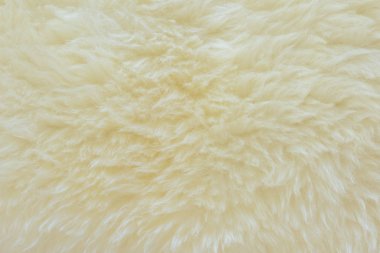 arka plan ve gerçek beyaz krem yün koyun dokulu