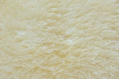 arka plan ve gerçek beyaz krem yün koyun dokulu