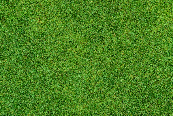 Fundo Textura Belo Padrão Grama Verde Campo Golfe — Fotografia de Stock