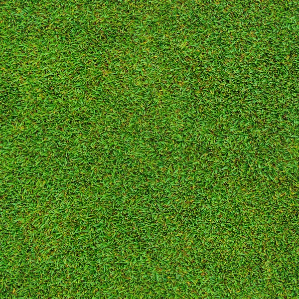 Фон Текстура Красивой Зеленой Травы Поля Гольфа — стоковое фото