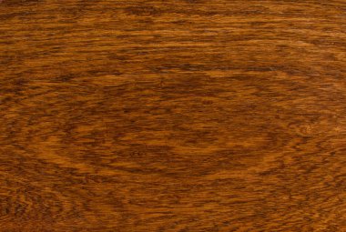 arka plan ve makro Ormosia odun dokusuna