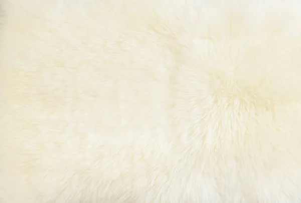Pozadí a texturou skutečných bílých Smetanových vlněných ovcí — Stock fotografie