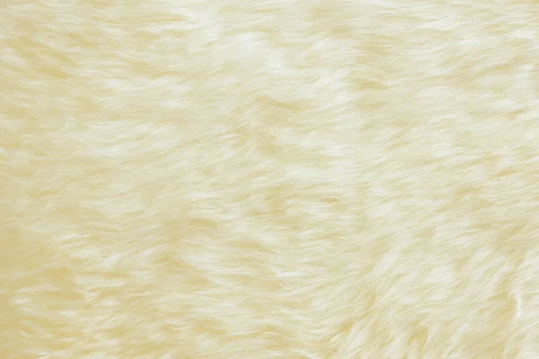Tło i teksturą prawdziwej białej wełny śmietany — Zdjęcie stockowe