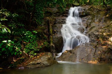 Tayland 'ın Phuket bölgesindeki Kathu Şelalesinin güzel doğası.