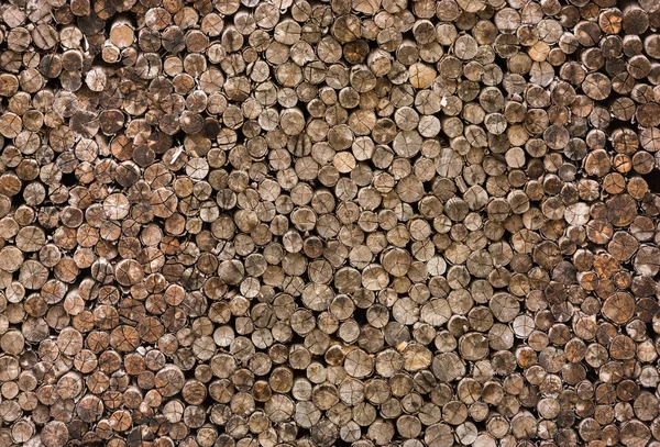 Background Texture Old Decorative Cross Section View Cutting Wood Arranged — Stock Photo, Image