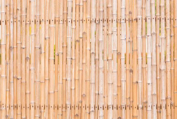 フェンスの壁の背景の装飾的な古い竹の木を閉じます — ストック写真