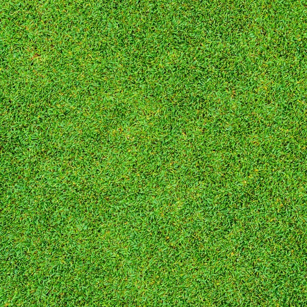 Fundo Textura Belo Padrão Grama Verde Campo Golfe — Fotografia de Stock