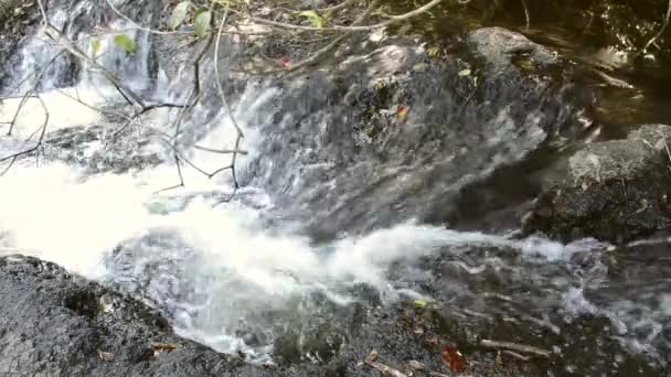 Natuur Stromend Water Het Regenwoud Thailand Bos — Stockvideo