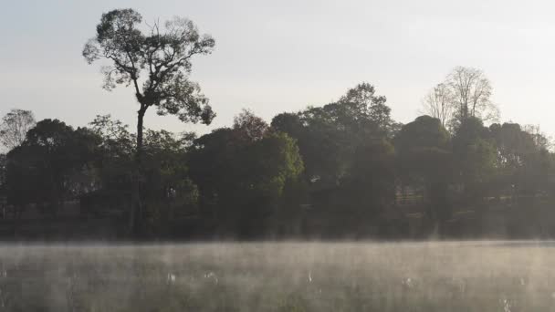 Vue sur le paysage de côté de l'arbre de la lagune dans la brume matinale au parc national de Khao Yai, Thaïlande