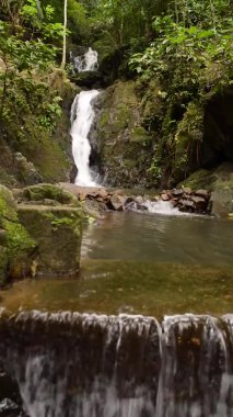 Tayland 'ın Phuket bölgesindeki Ton Sai Şelalesinin güzel doğası.