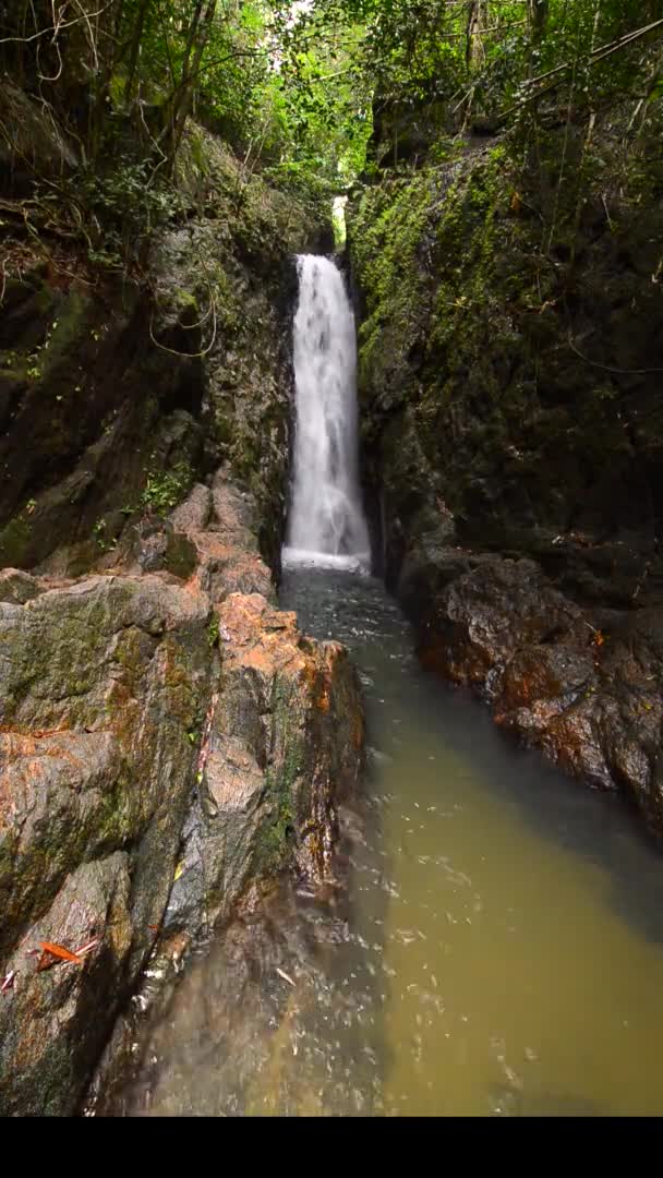 Schöne Natur Des Bangpae Wasserfalls Der Provinz Phuket Thailand — Stockvideo