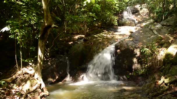 Schöne Natur Des Kathu Wasserfalls Der Provinz Phuket Thailand — Stockvideo