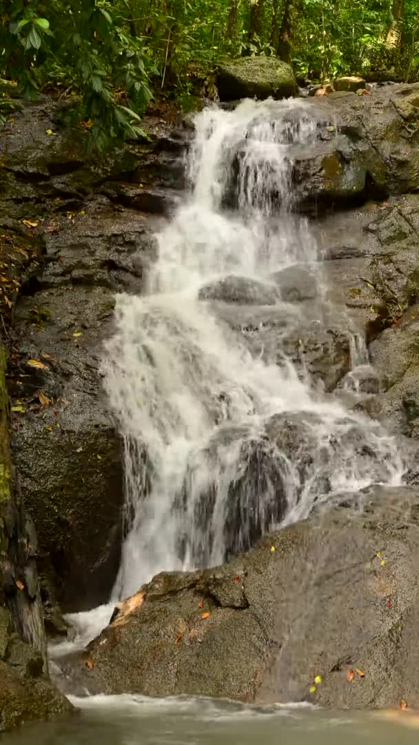 Schöne Natur Des Kathu Wasserfalls Der Provinz Phuket Thailand — Stockvideo