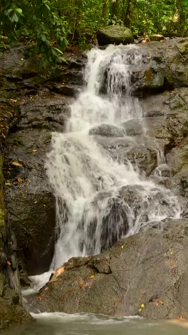 Prachtige Natuur Van Kathu Waterval Bij Phuket Provincie Thailand — Stockvideo