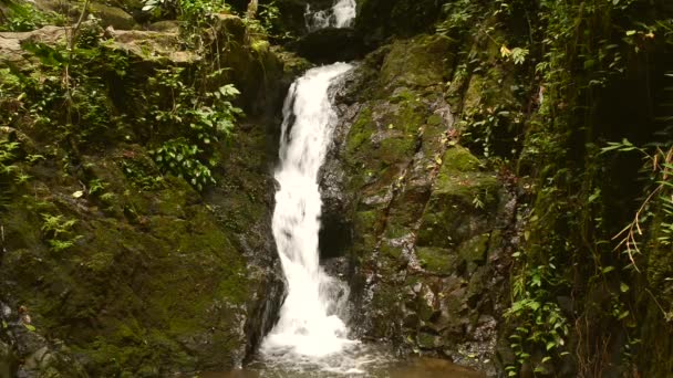 Prachtige Natuur Van Ton Sai Waterval Bij Phuket Provincie Thailand — Stockvideo