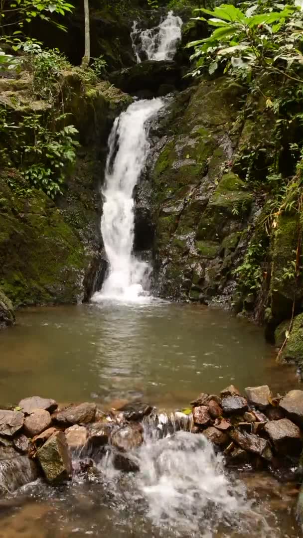 Prachtige Natuur Van Ton Sai Waterval Bij Phuket Provincie Thailand — Stockvideo