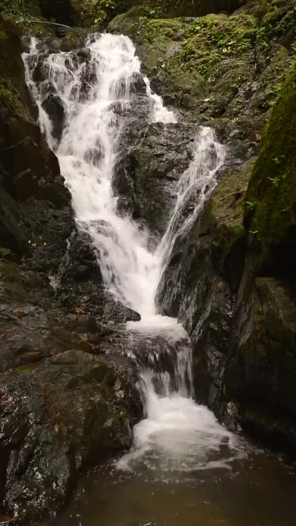 Vacker Natur Ton Sai Waterfall Phuket Provinsen Thailand — Stockvideo