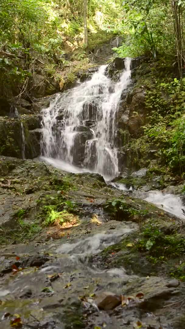 Vacker Natur Ton Sai Waterfall Phuket Provinsen Thailand — Stockvideo
