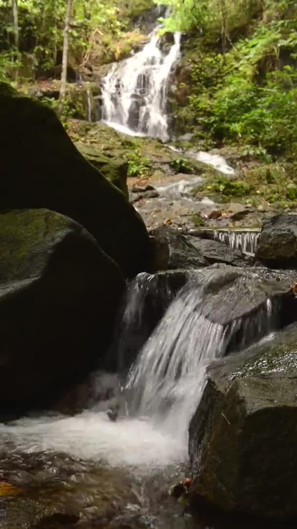 Vacker Natur Ton Sai Waterfall Phuket Provinsen Thailand — Stockvideo