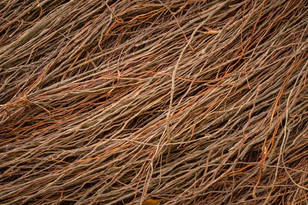 Fondo Textura Hermosa Raíz Del Árbol Banyan Para Acabado Pared — Foto de Stock