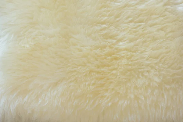 Texturé Moutons Laine Crème Blanche Véritable — Photo