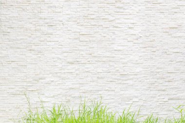 Beyaz dekoratif gerçek taş duvar yüzeyi ve yeşil çimlerin modern stil deseni
