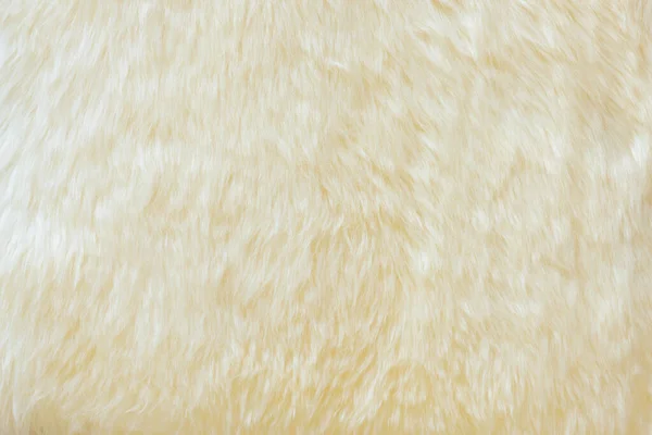Текстура Настоящей Белой Шерсти Овец — стоковое фото