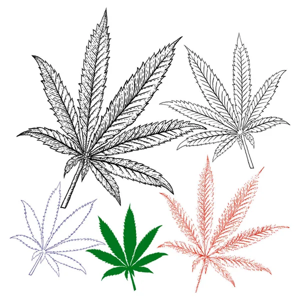 Dibujo de marihuana con fondo y logotipo — Vector de stock