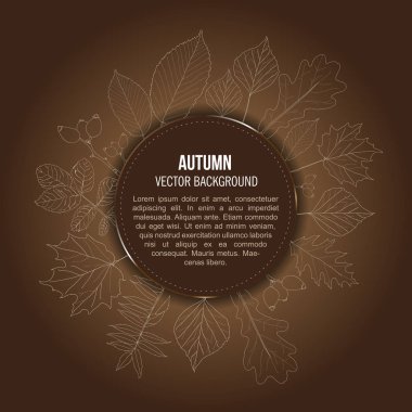 Vektör anahatları yaprak ile kahverengi sonbahar arka plan ve metin için yer