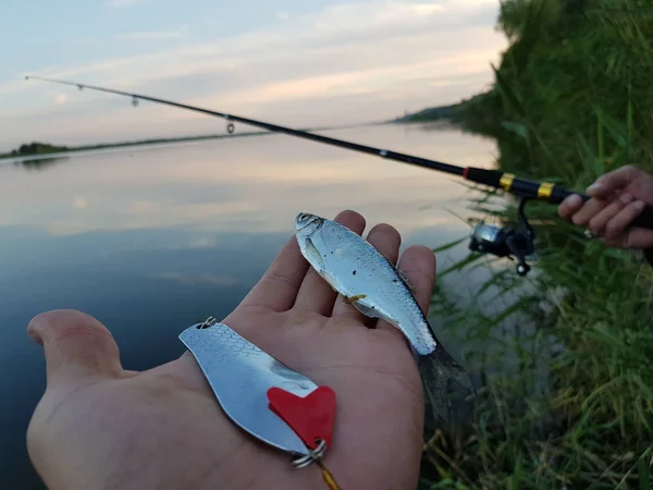 Rybaření Řece Při Západu Slunce — Stock fotografie