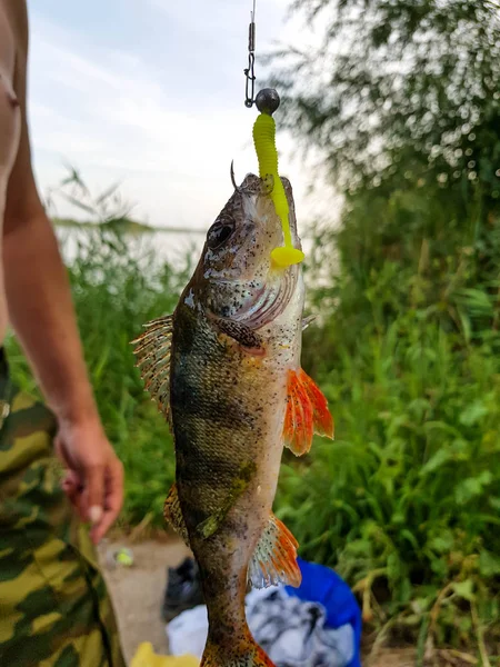 Filature Pêche Sur Rivière Russie Sur Volga — Photo