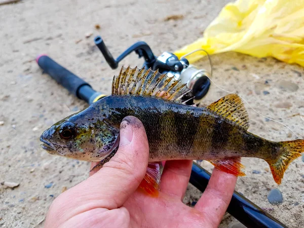 Filature Pêche Sur Rivière Russie Sur Volga — Photo