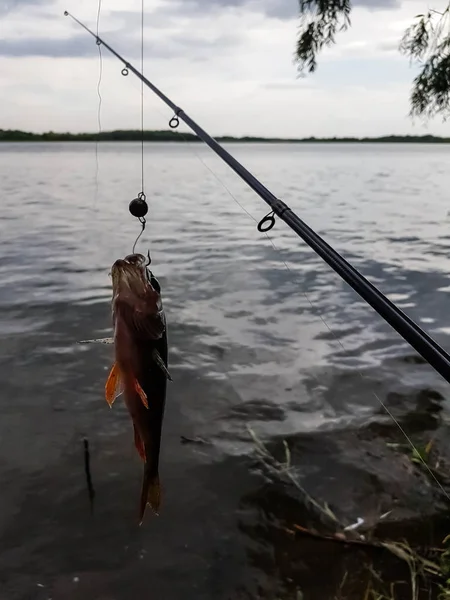 Spinnangeln Auf Dem Fluss Russland Der Wolga — Stockfoto