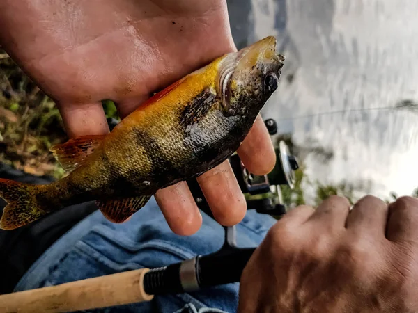 Filatura Pesca Sul Fiume Russia Sul Volga — Foto Stock