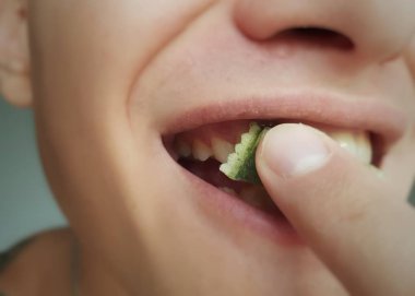 diş etleri ile kullanılmak üzere porsiyon snus tütün