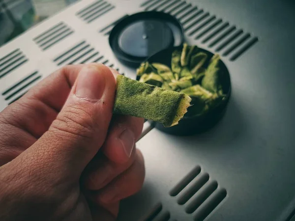 Portie Snus Tabak Voor Gebruik Door Het Tandvlees Stockfoto