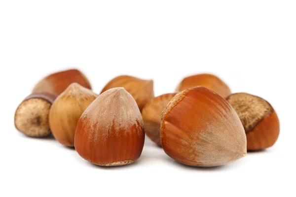 Hazelnut Isolated White Background — Stock Photo, Image